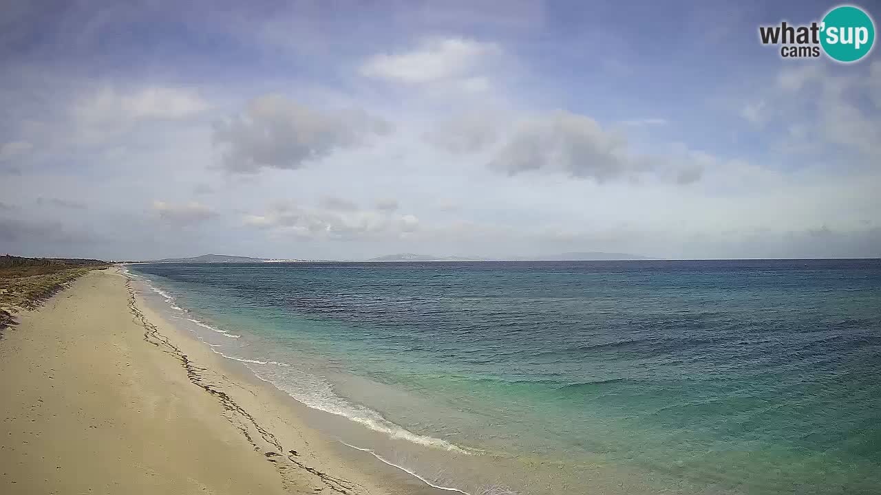 Spiaggia Le Saline webcam Stintino – Sardegna