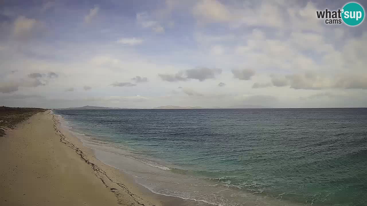 Plage Le Saline Live cam Stintino – Sardaigne