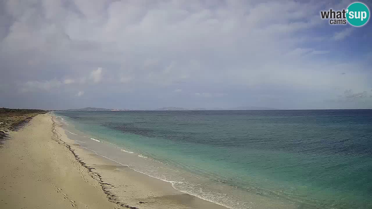 Beach Le Saline webcam live Stintino – Sardinia