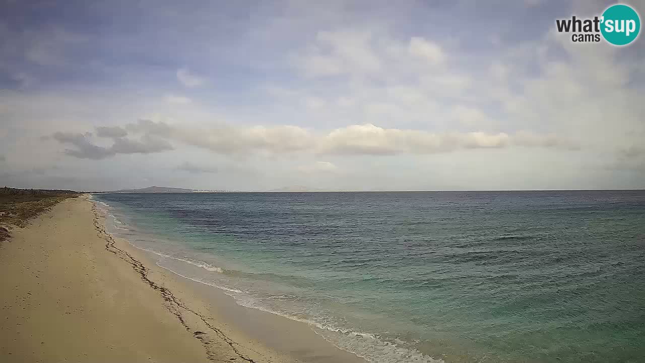 Strand Le Saline webcam Stintino – Sardinien