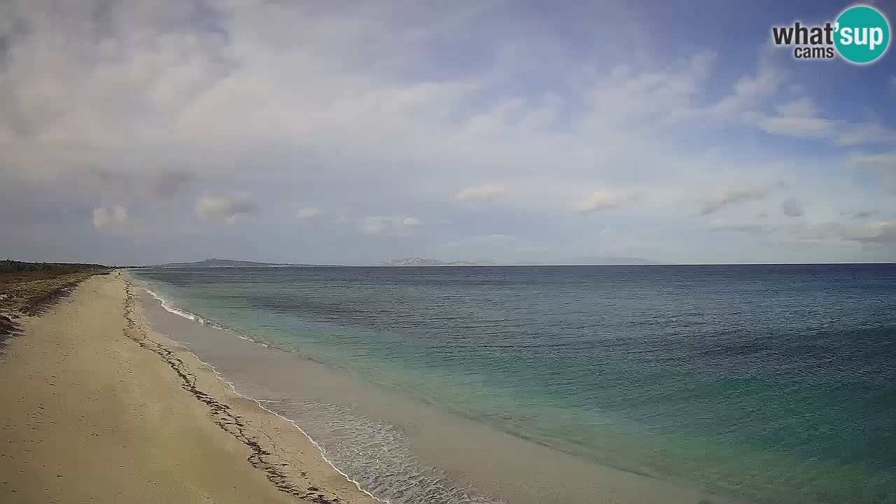 Strand Le Saline webcam Stintino – Sardinien