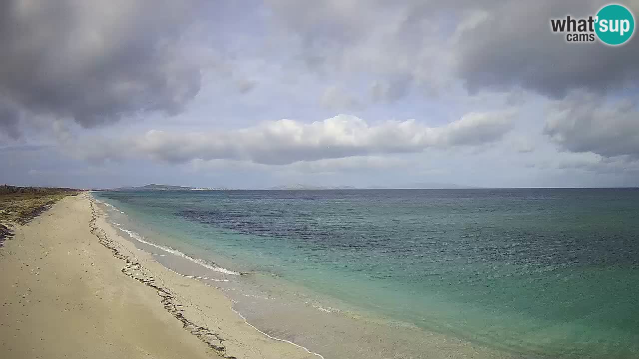 Strand Le Saline webcam Stintino – Sardinien