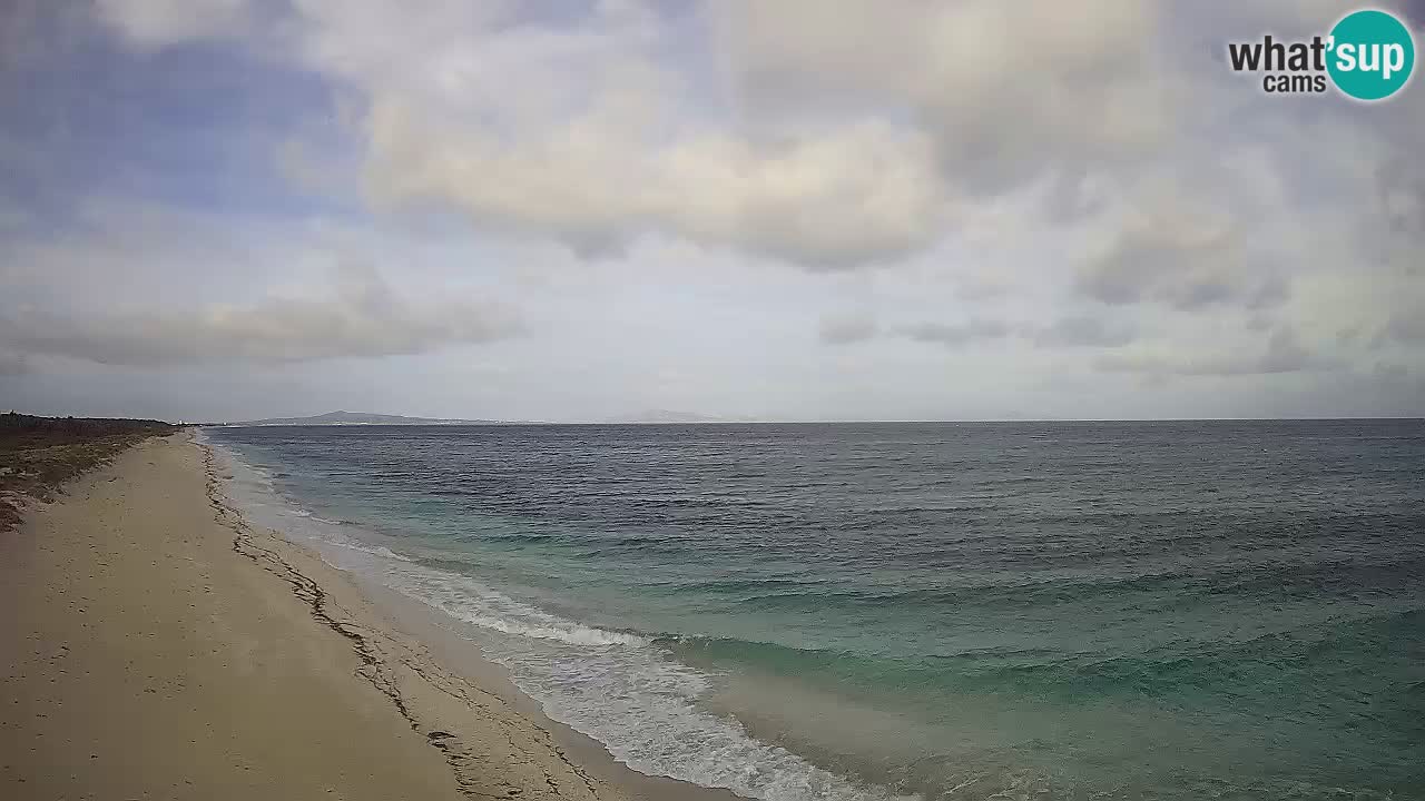 Spiaggia Le Saline webcam Stintino – Sardegna