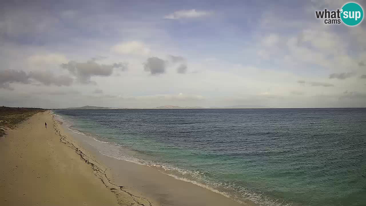 Beach Le Saline webcam live Stintino – Sardinia