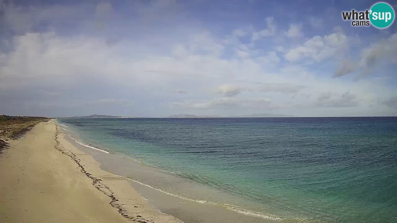 Spiaggia Le Saline webcam Stintino – Sardegna