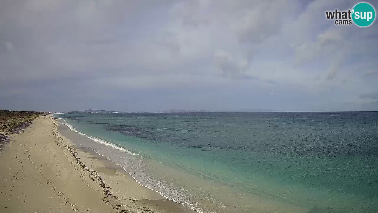 Plaža Le Saline web kamera Stintino – Sardinija