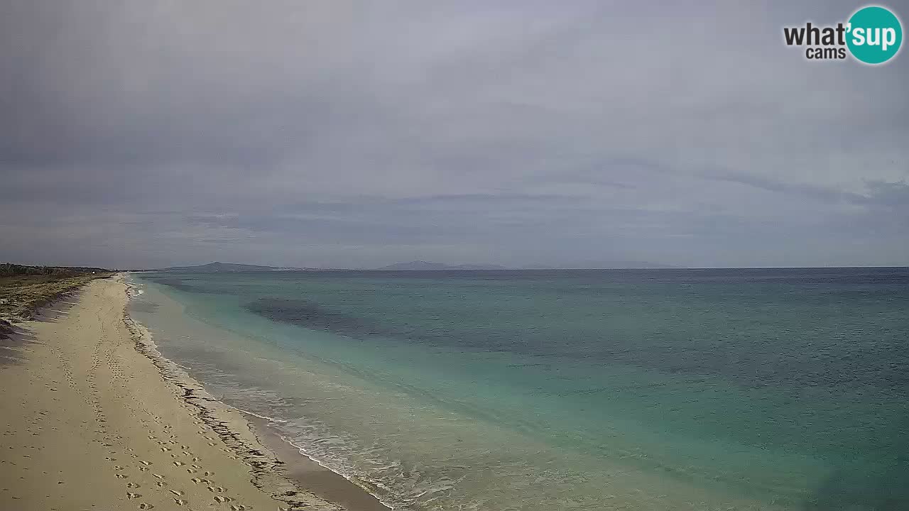 Plage Le Saline Live cam Stintino – Sardaigne