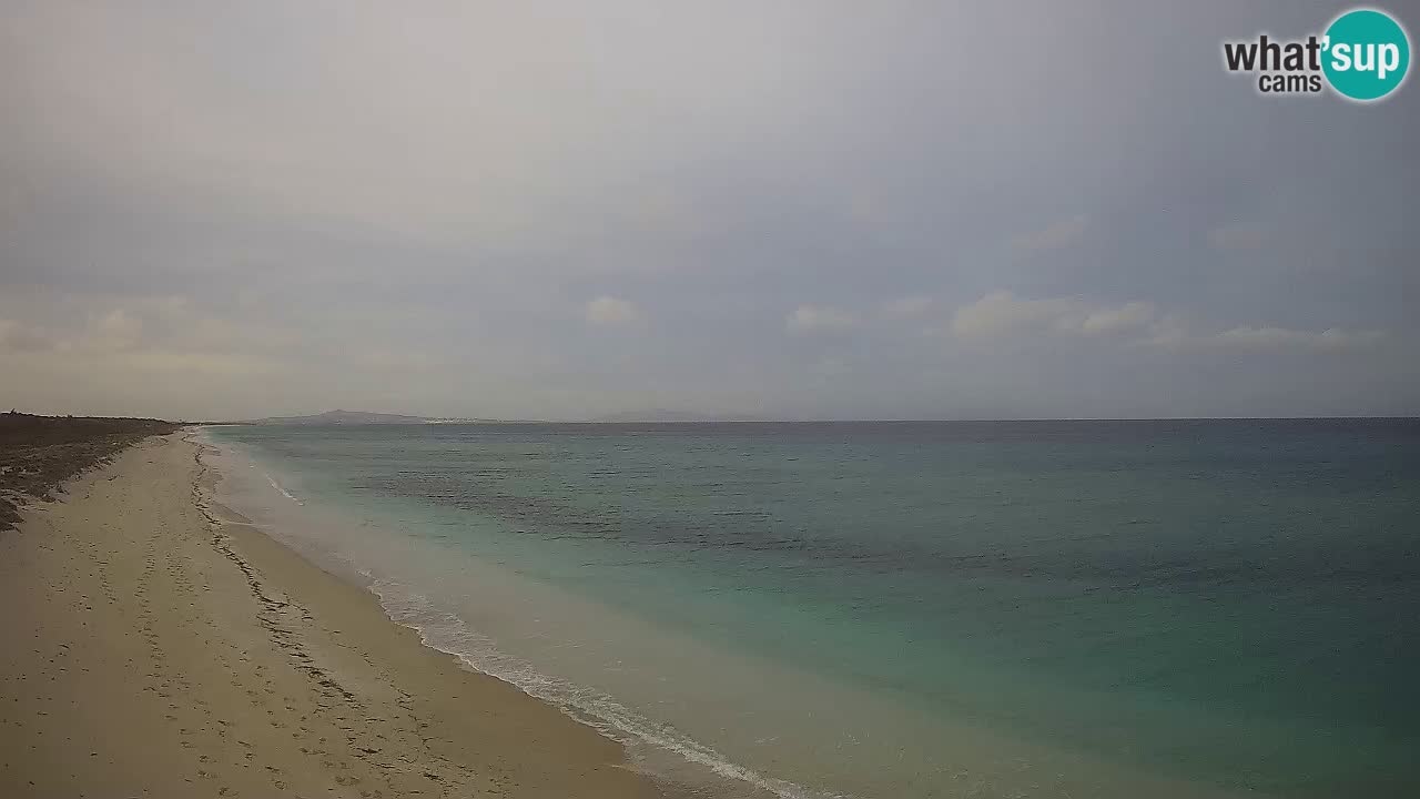 Playa Le Saline camera en vivo Stintino – Cerdeña