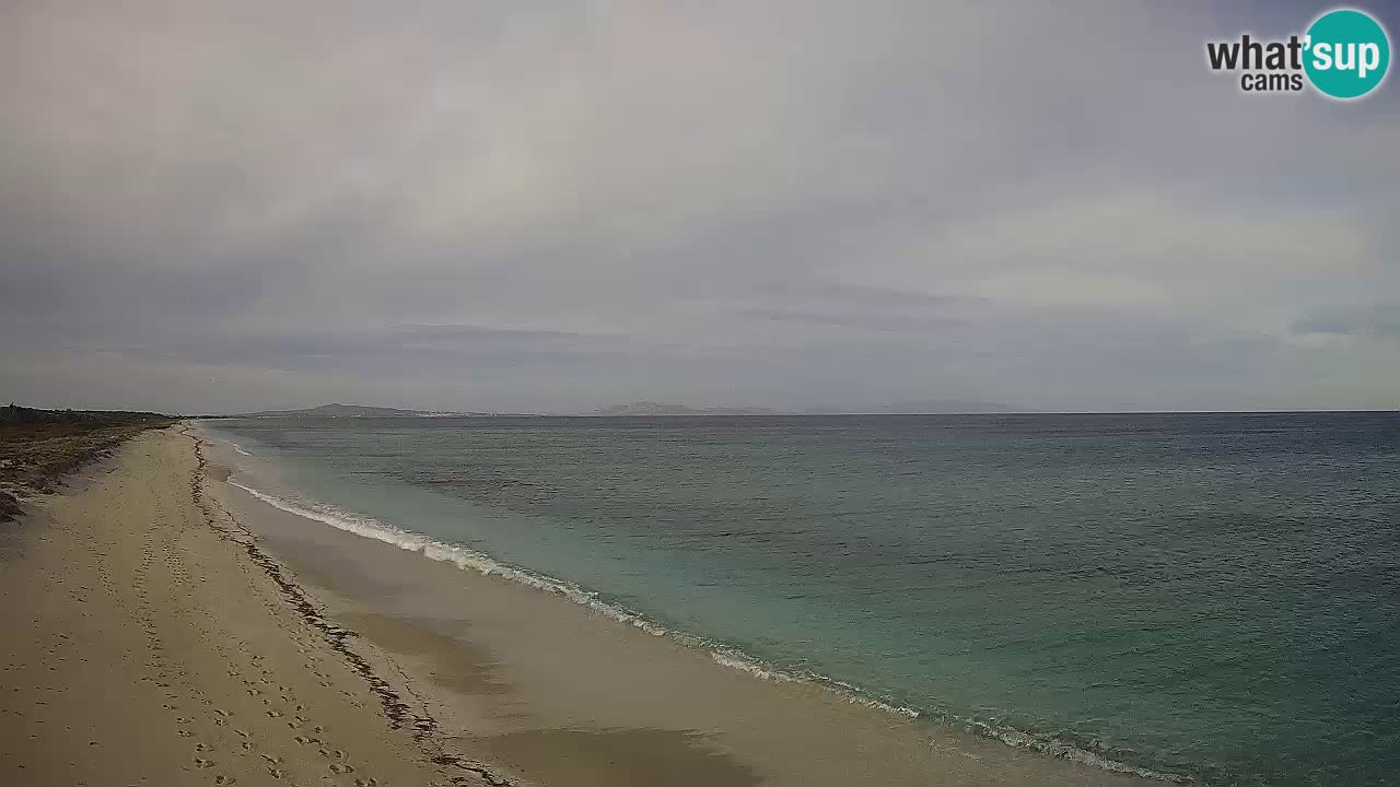 Plaža Le Saline web kamera Stintino – Sardinija