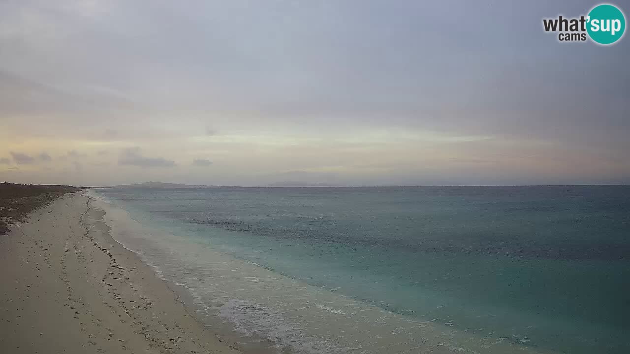 Playa Le Saline camera en vivo Stintino – Cerdeña