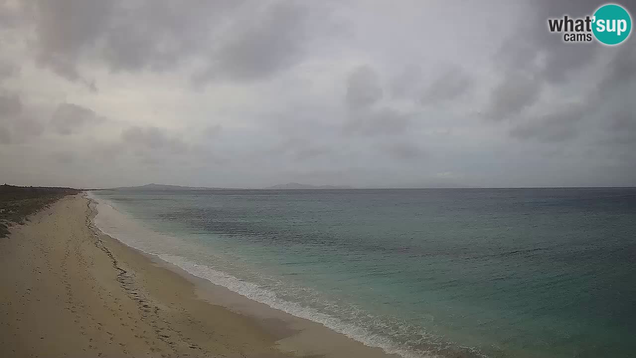 Plage Le Saline Live cam Stintino – Sardaigne