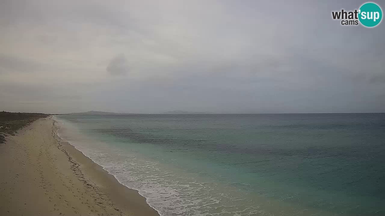 Plaža Le Saline spletna kamera Stintino – Sardinija