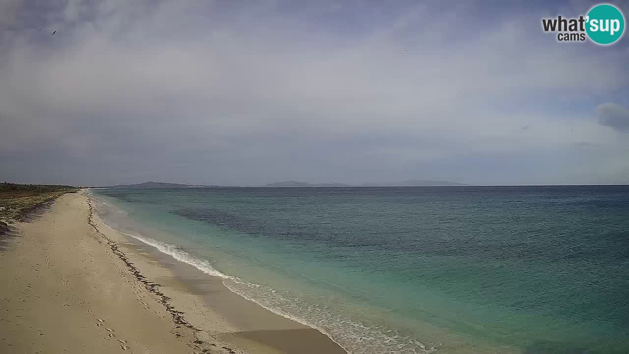 Plage Le Saline Live cam Stintino – Sardaigne