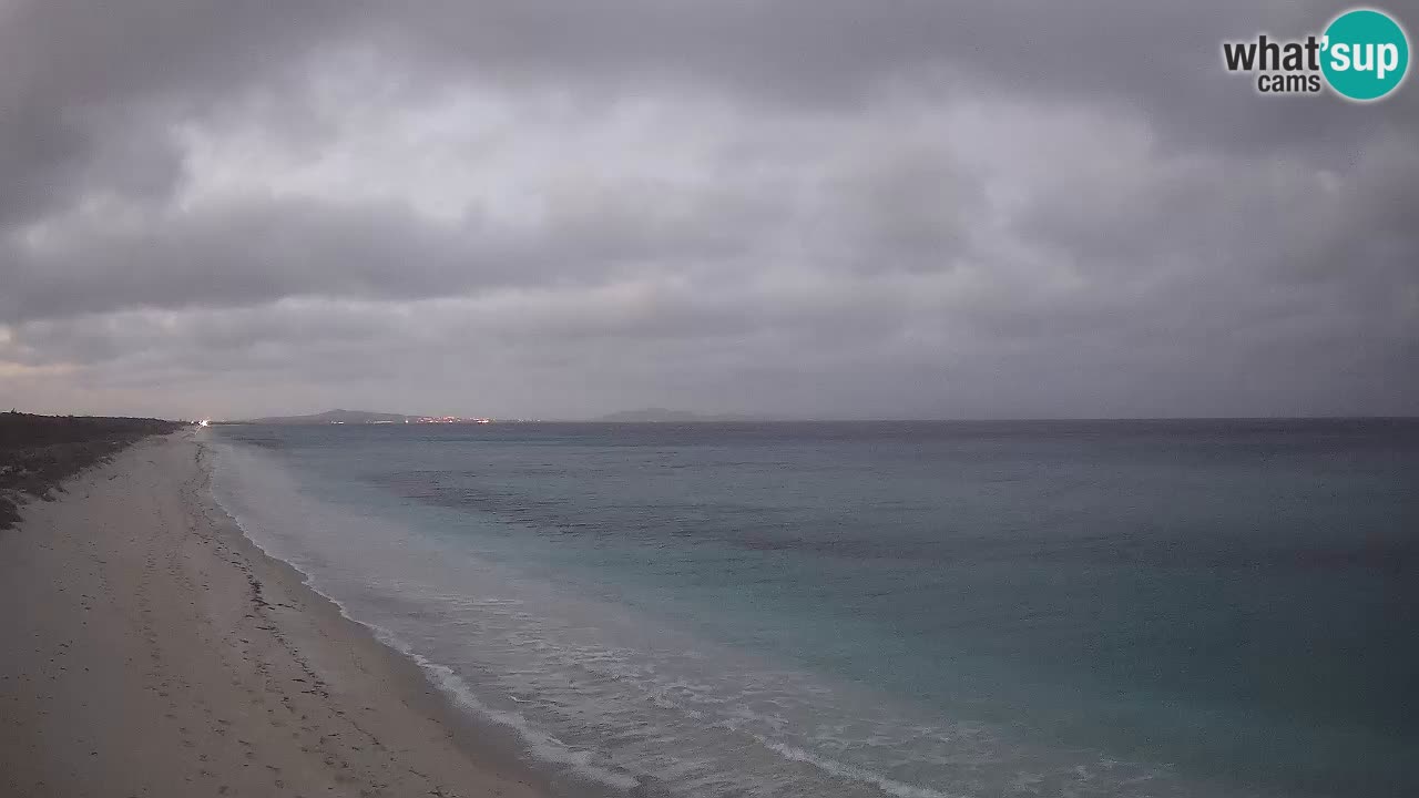 Playa Le Saline camera en vivo Stintino – Cerdeña