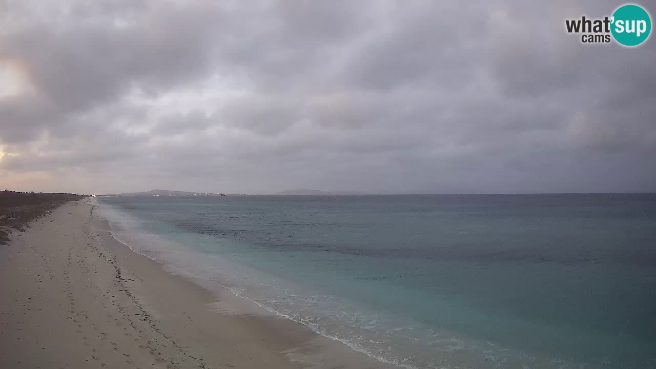 Plage Le Saline Live cam Stintino – Sardaigne