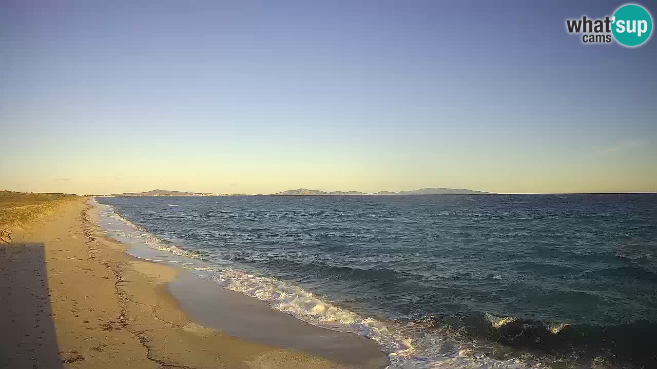 Beach Le Saline webcam live Stintino – Sardinia