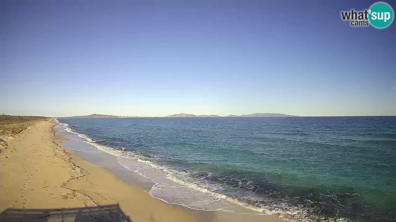 Strand Le Saline webcam Stintino – Sardinien