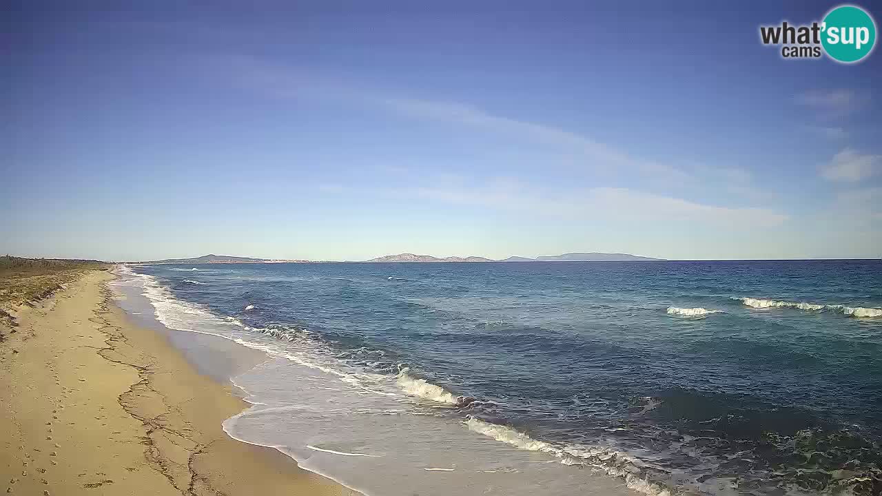 Spiaggia Le Saline webcam Stintino – Sardegna