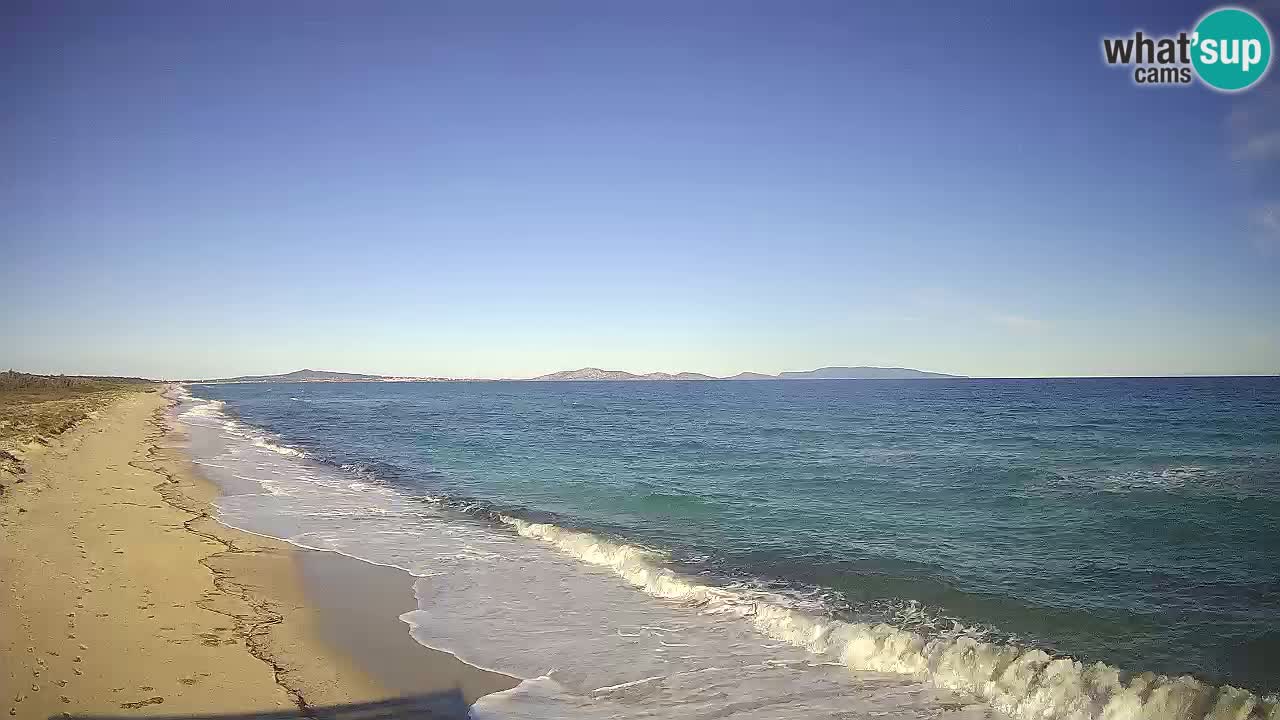 Plaža Le Saline spletna kamera Stintino – Sardinija