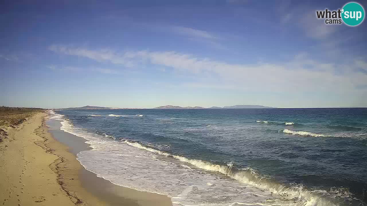 Plage Le Saline Live cam Stintino – Sardaigne