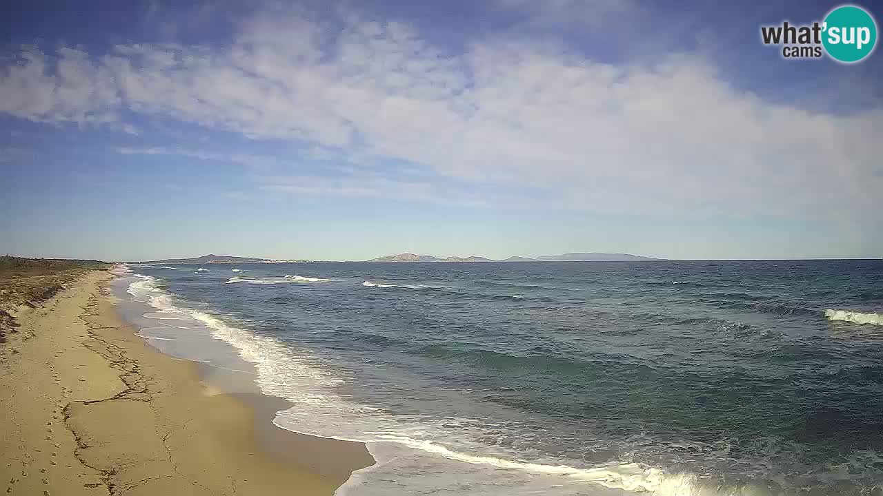 Plaža Le Saline spletna kamera Stintino – Sardinija