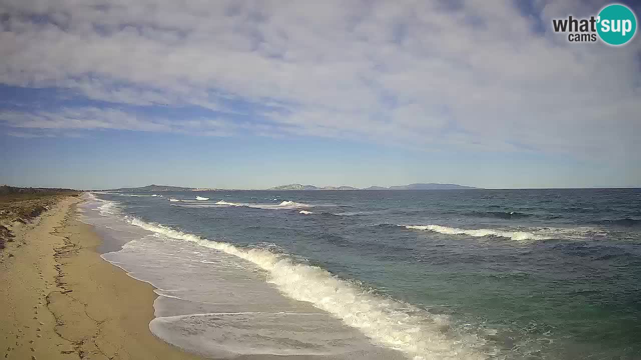 Spiaggia Le Saline webcam Stintino – Sardegna