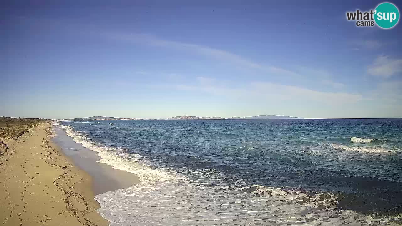 Spiaggia Le Saline webcam Stintino – Sardegna