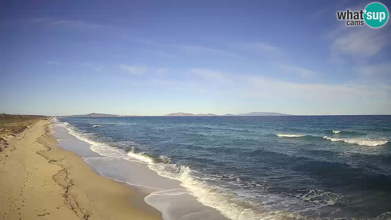 Spiaggia Le Saline webcam Stintino – Sardegna