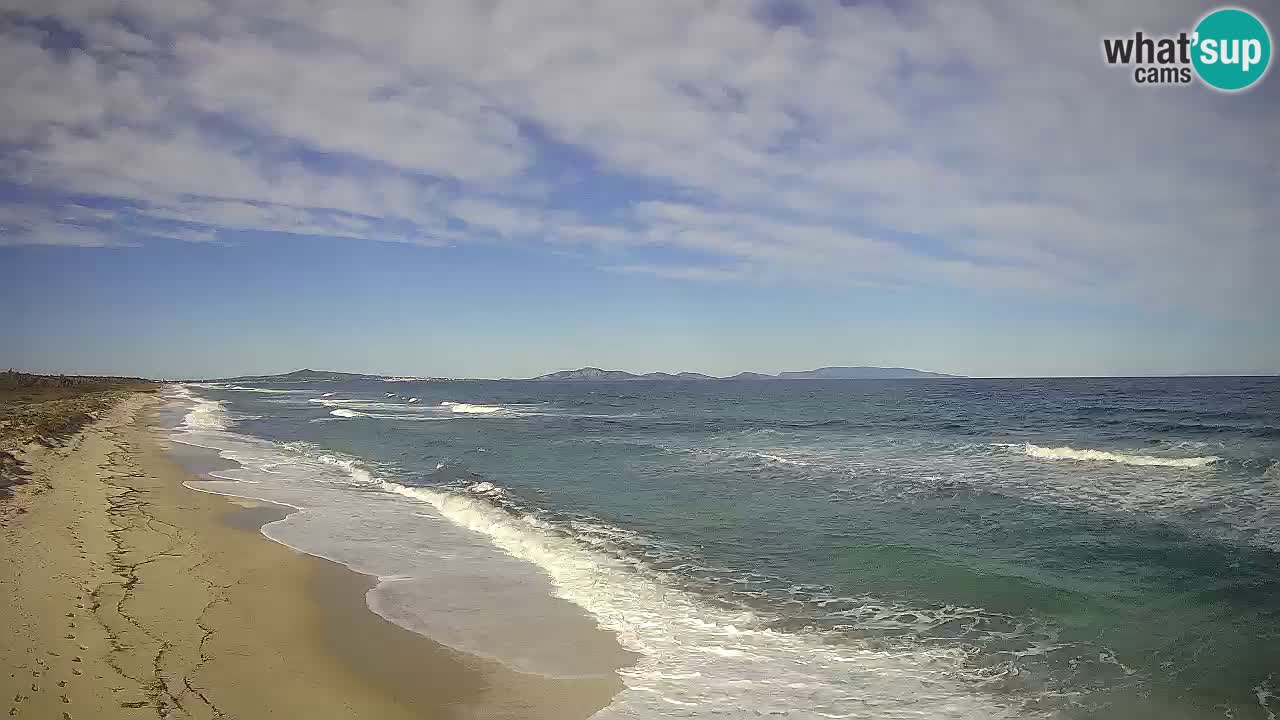 Spiaggia Le Saline webcam Stintino – Sardegna