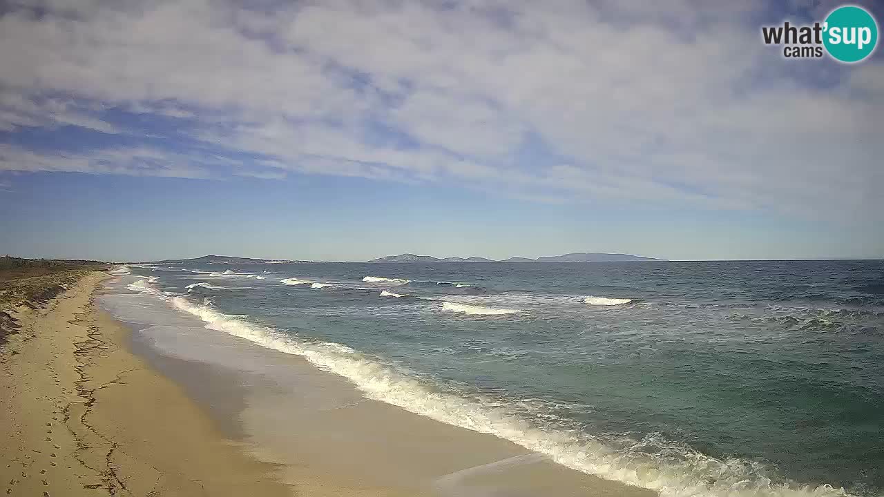 Spiaggia Le Saline webcam Stintino – Sardegna