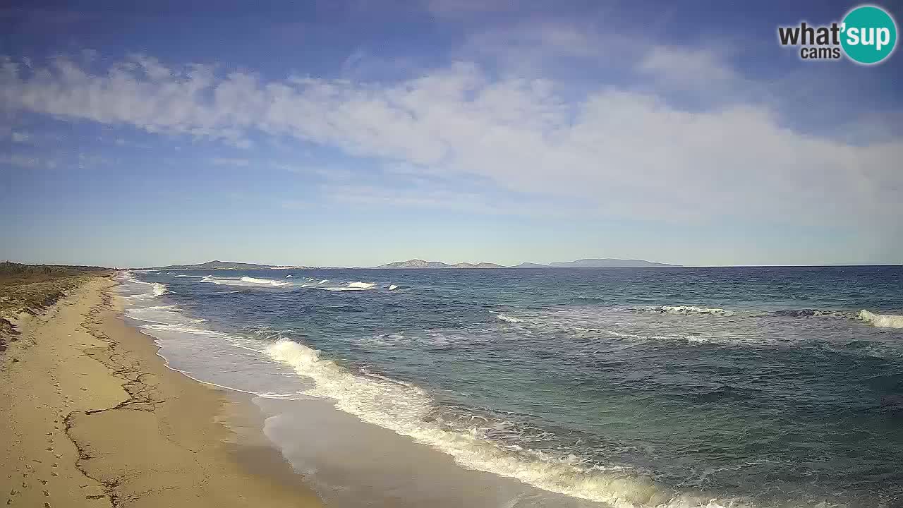 Spiaggia Le Saline webcam Stintino – Sardegna