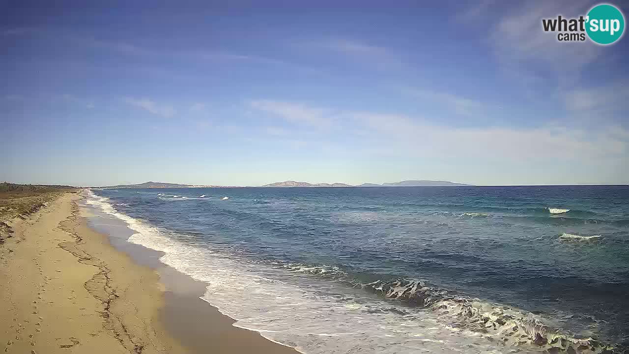 Spiaggia Le Saline webcam Stintino – Sardegna