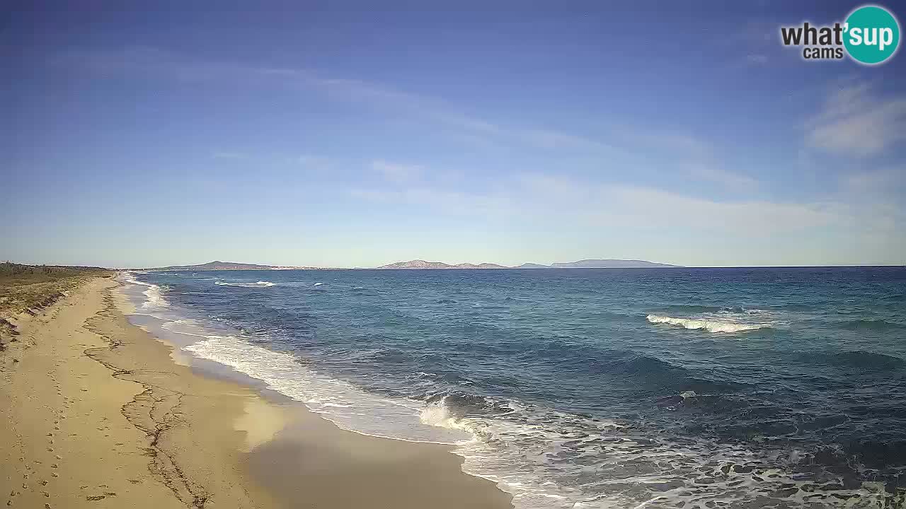 Plaža Le Saline web kamera Stintino – Sardinija