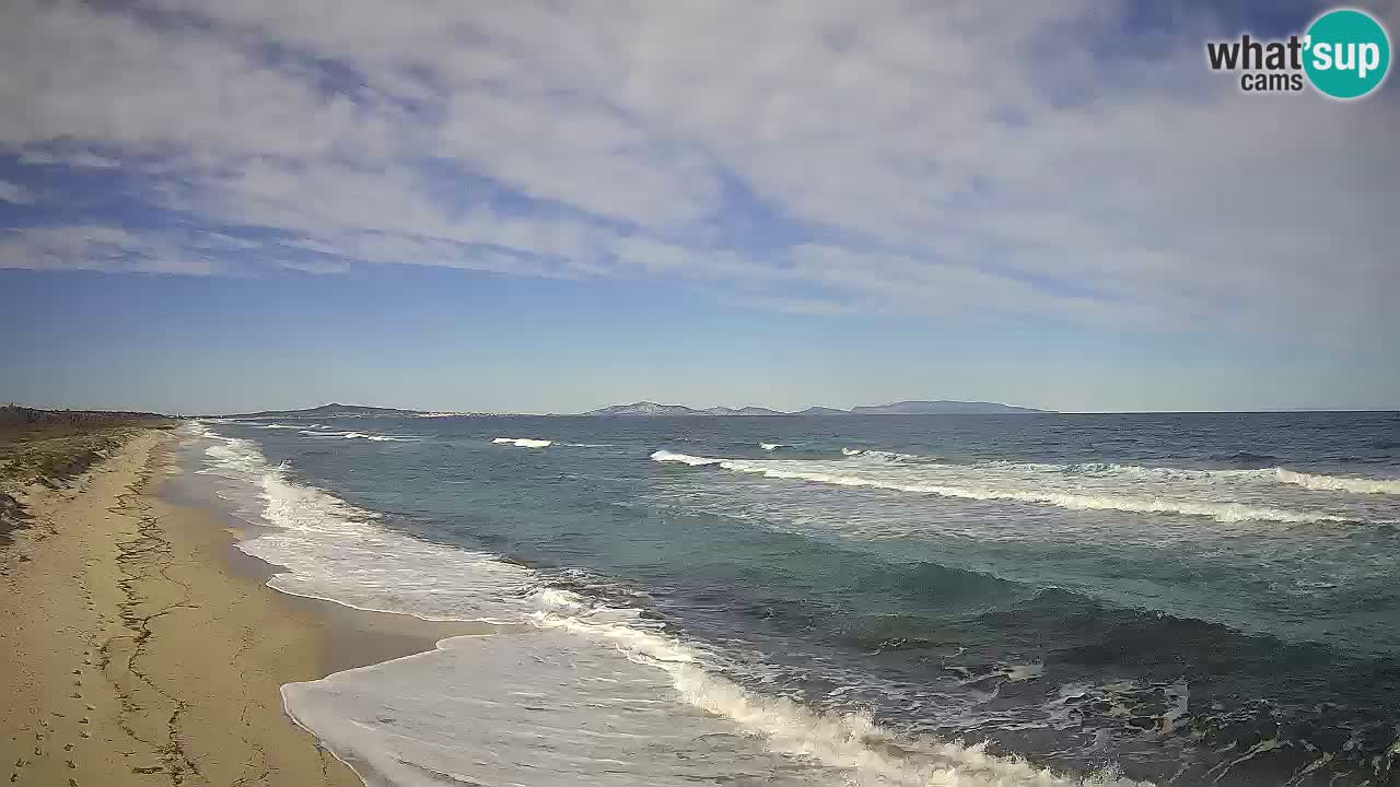 Spiaggia Le Saline webcam Stintino – Sardegna