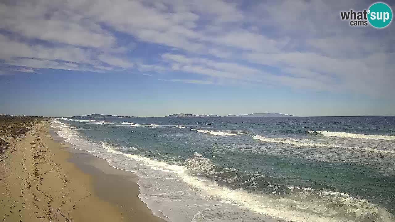 Spiaggia Le Saline webcam Stintino – Sardegna