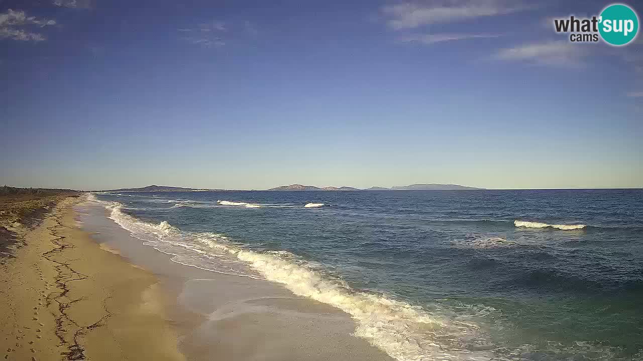 Playa Le Saline camera en vivo Stintino – Cerdeña