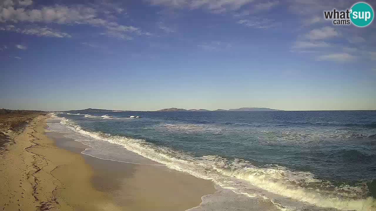 Plaža Le Saline spletna kamera Stintino – Sardinija