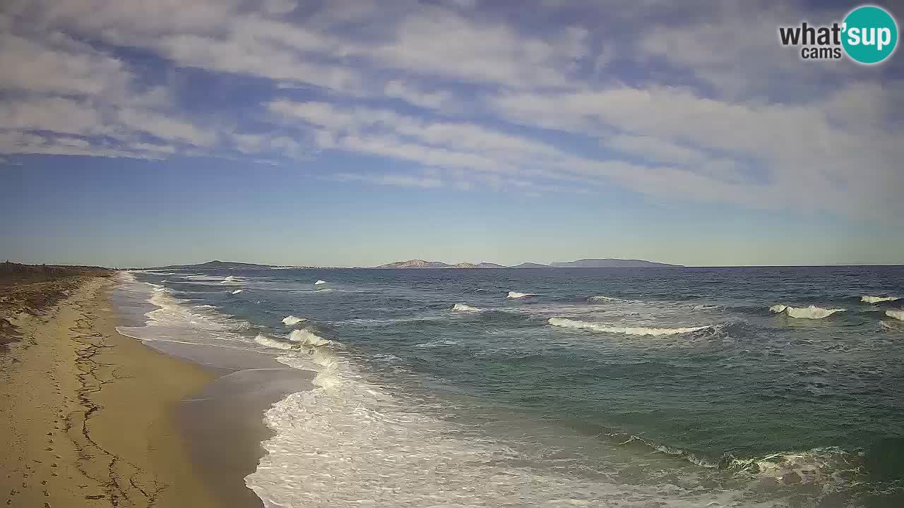 Beach Le Saline webcam live Stintino – Sardinia