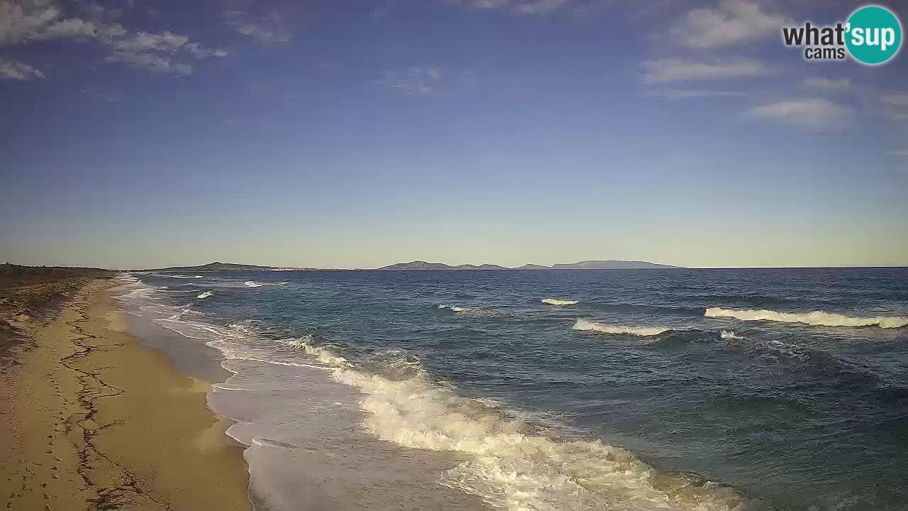 Beach Le Saline webcam live Stintino – Sardinia