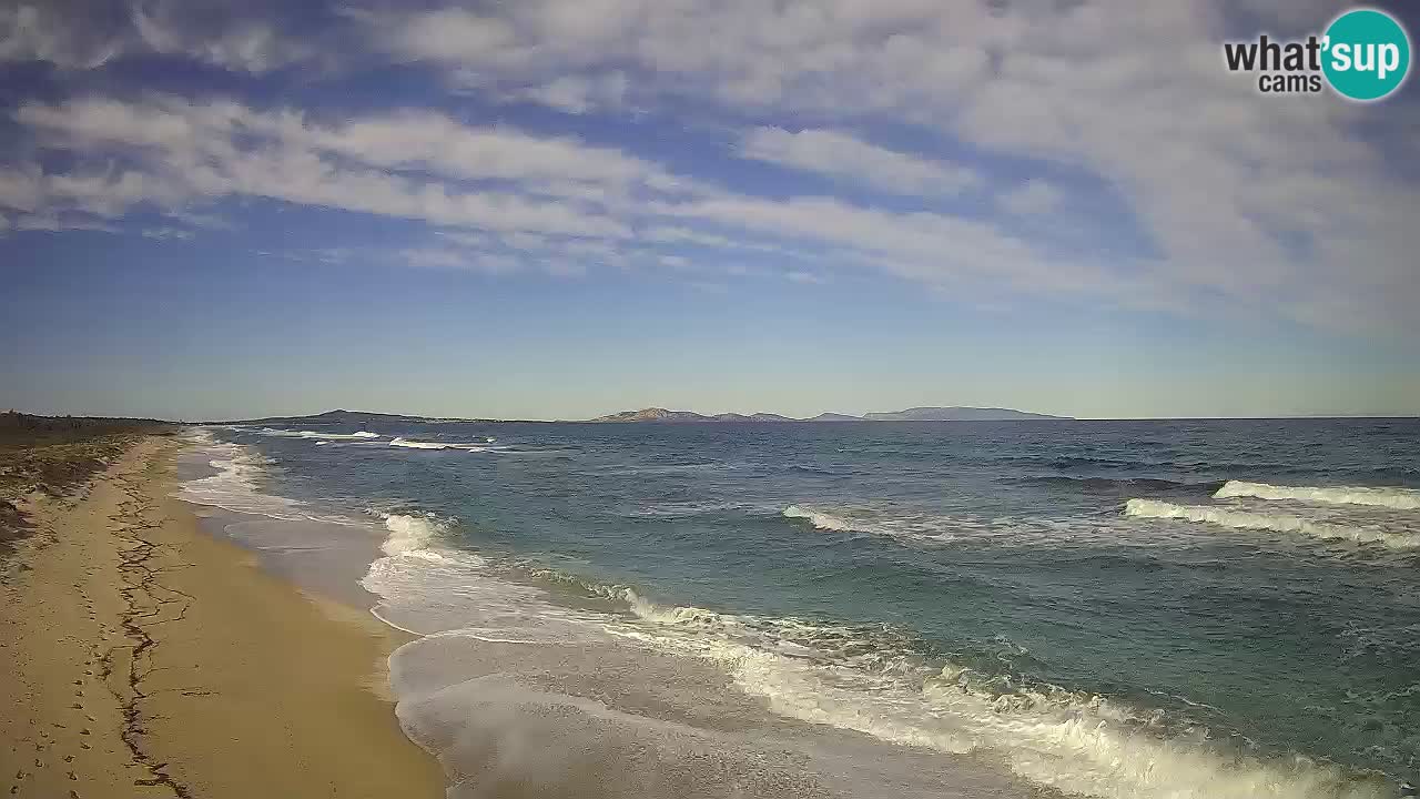 Beach Le Saline webcam live Stintino – Sardinia