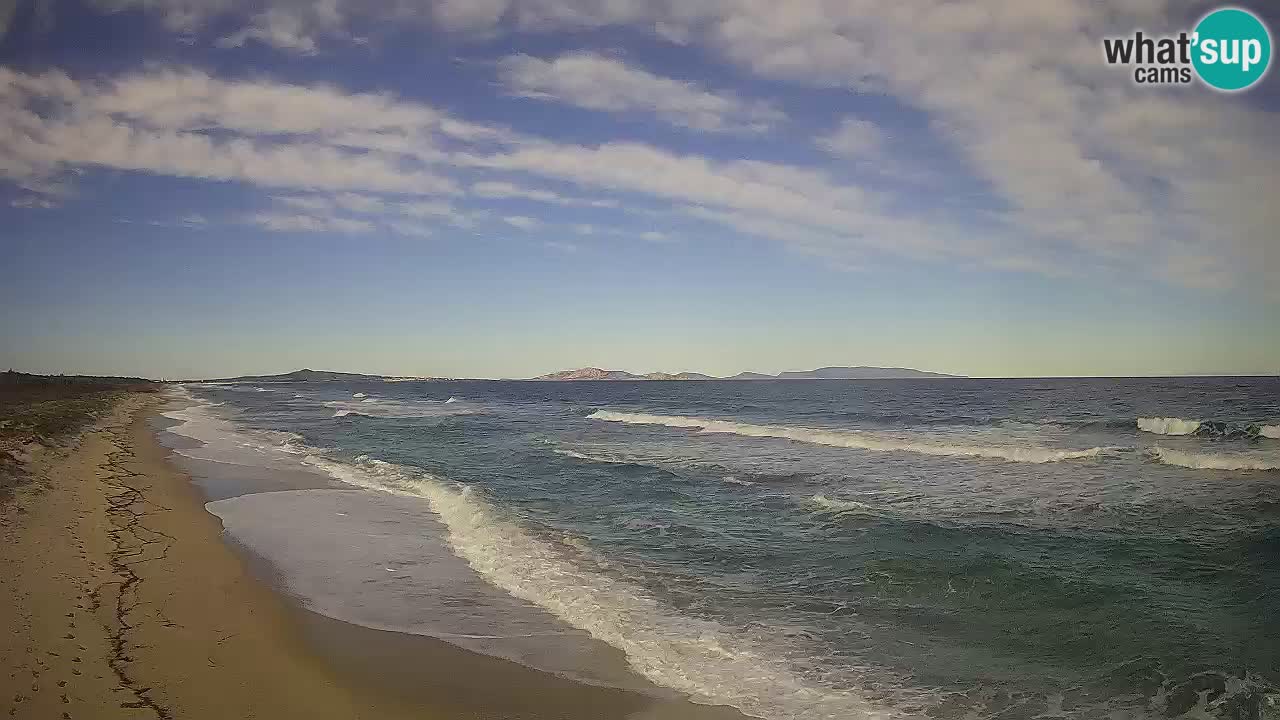 Beach Le Saline webcam live Stintino – Sardinia