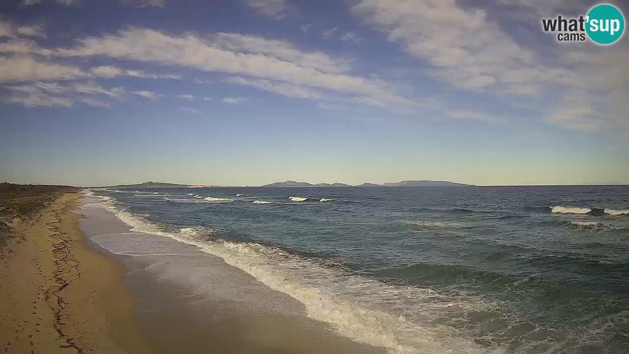 Beach Le Saline webcam live Stintino – Sardinia