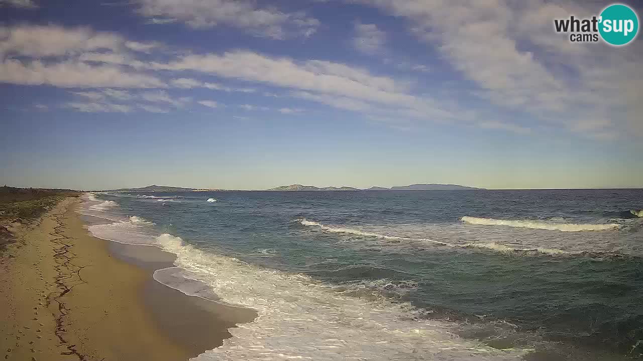 Beach Le Saline webcam live Stintino – Sardinia