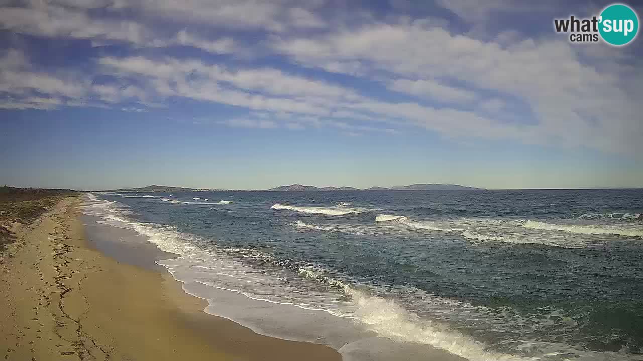 Playa Le Saline camera en vivo Stintino – Cerdeña