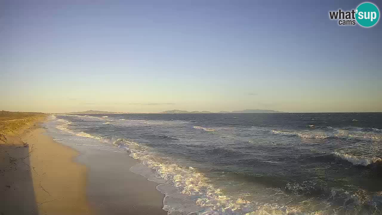 Beach Le Saline webcam live Stintino – Sardinia