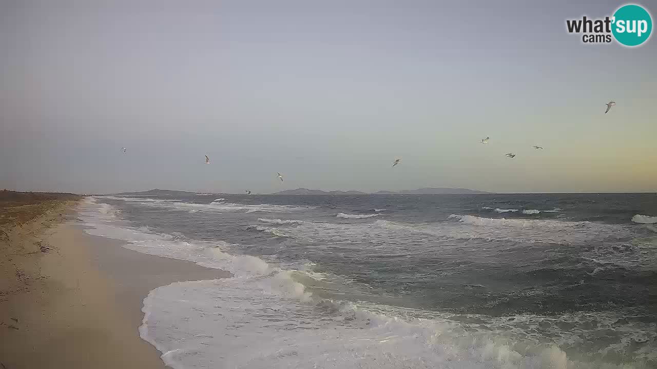 Beach Le Saline webcam live Stintino – Sardinia