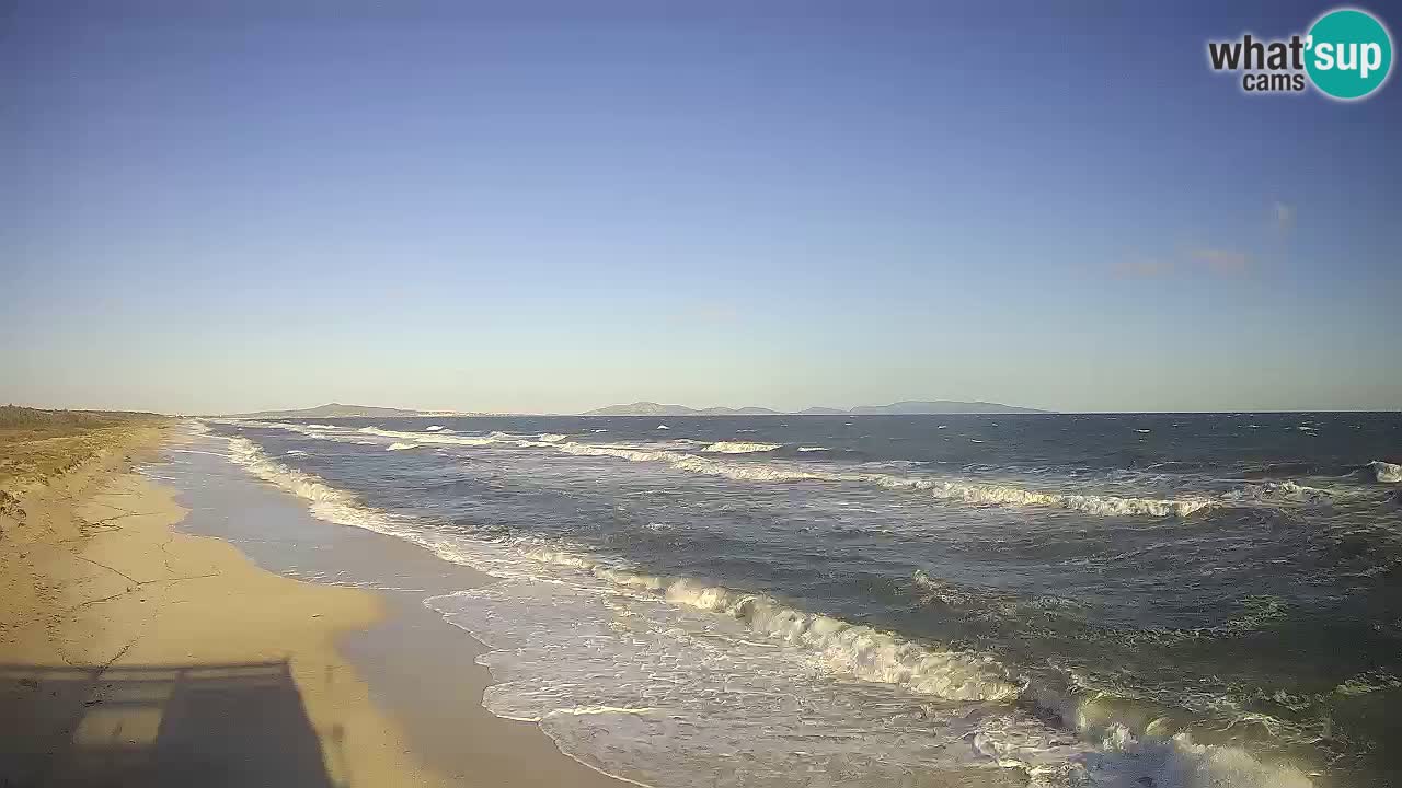 Strand Le Saline webcam Stintino – Sardinien