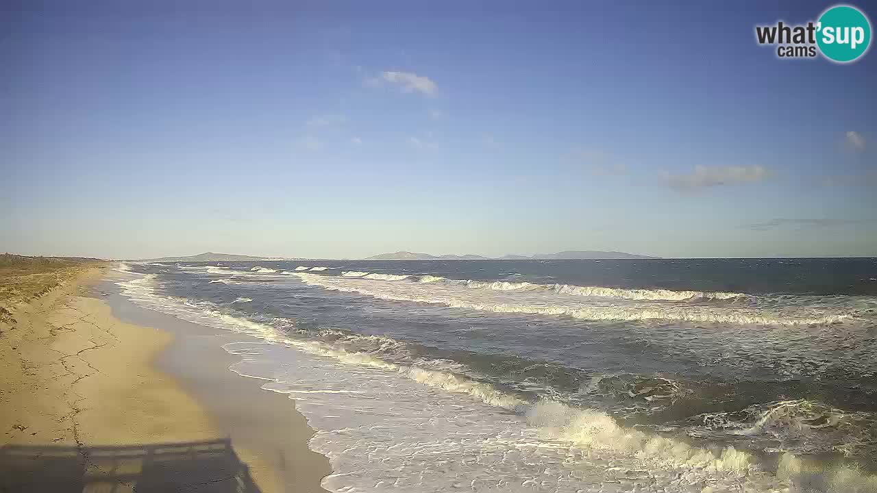 Beach Le Saline webcam live Stintino – Sardinia