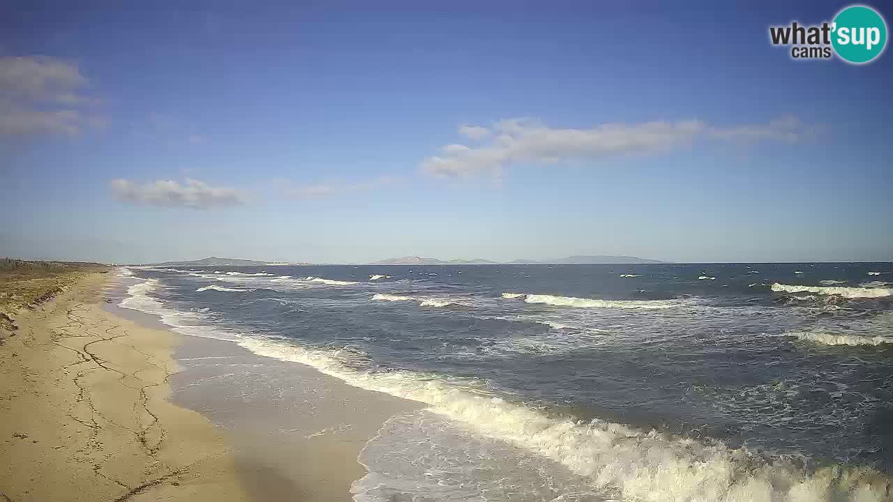 Beach Le Saline webcam live Stintino – Sardinia