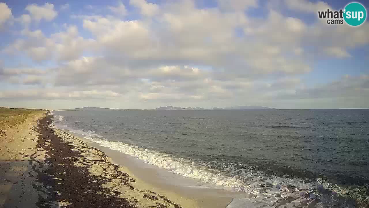 Beach Le Saline webcam live Stintino – Sardinia